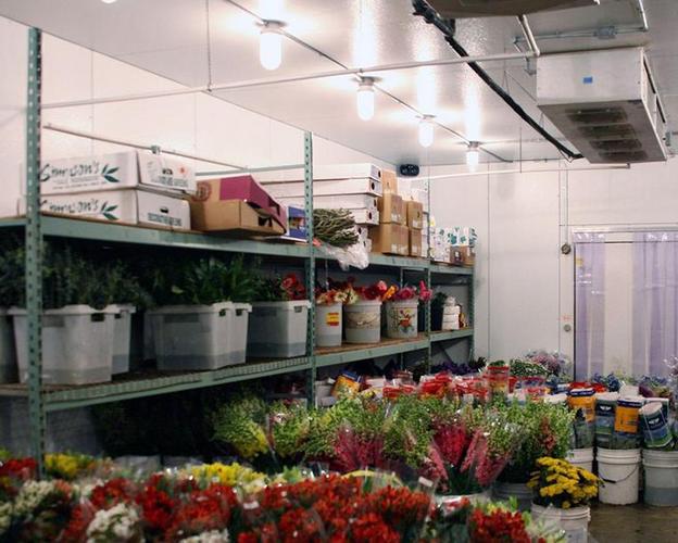 冷庫在鮮花保鮮中的關(guān)鍵作用與操作指南