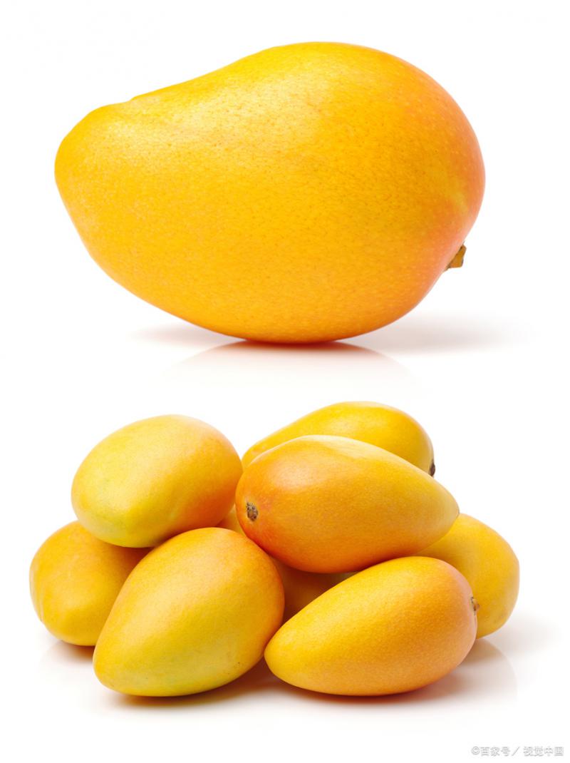 江西芒果冷庫：鎖住熱帶鮮美的“時(shí)光膠囊”